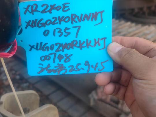 徐工XR240E旋挖鉆機