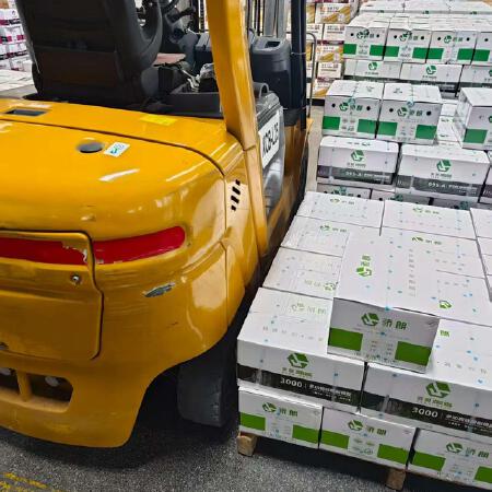 徐工XCB-L25电动平衡重叉车