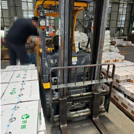 徐工XCB-L25电动平衡重叉车